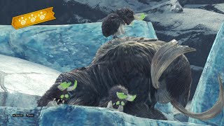 Monster Hunter World Iceborne  Popo Pecking Order  Lynian Researcher Request [upl. by Eceinahs]