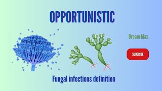 Opportunistic fungal infections definition  Dream Max [upl. by Schluter]