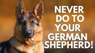 5 Things You Must Never Do to Your German Shepherd [upl. by Edals]