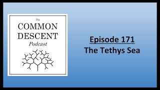 Episode 171  The Tethys Sea [upl. by Einama595]