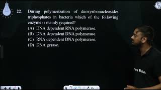 During polymerization of deoxyribonucleosides triphosphates in bacteria which of the following e [upl. by Nylorak]