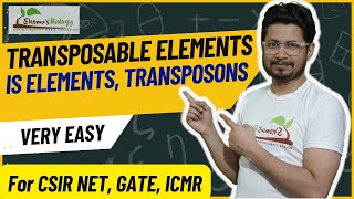 Transposable elements in prokaryotes and eukaryotes  Transposons and jumping genes  IS elements [upl. by Yeldahc]