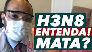 GRIPE H3N8 O que se sabe sobre o primeiro caso humano de gripe aviária da cepa H3N8 [upl. by Nnylrac]