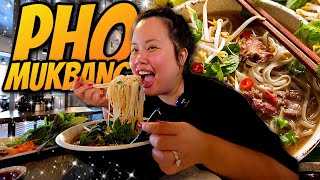 Vietnamese Phở Mukbang Beef Noodles  Eggrolls 먹방 Eating Show New Restaurant First Time Review [upl. by Serge993]