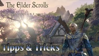 TESO Addon Guide 0 Minion  Addons Vorstellung amp Anleitung Download Install elderscrollsonline [upl. by Kciregor232]