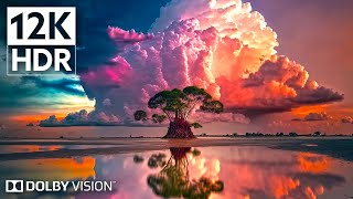 Dolby Vision 12K HDR 240fps  Experience the Unbelievable Nature  8K Earth [upl. by Suravart]