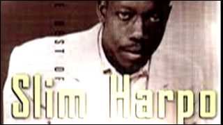 Mohair Sam SLIM HARPO Stereo Remix Tom Moulton Video Steven Bogarat [upl. by Kral]