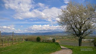 4K Merdingen vineyards Baden Württemberg GERMANY ドイツ [upl. by Balliol452]