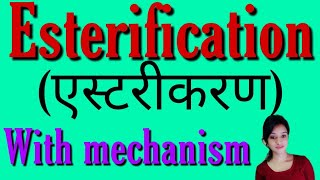 Esterification with mechanism bsc 2nd year organic chemistry notes knowledge adda esters [upl. by Floyd]