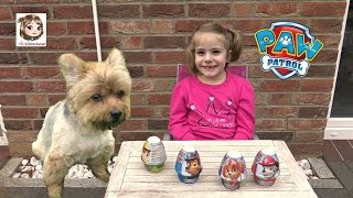 PAW PATROL ÜBERRASCHUNGSEI 🐶 Pudding mit kleinen Hunde Figuren zum Sammeln 🐶 Surprise Egg [upl. by Htidirem37]