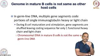 Adaptive ImmunityAntibody Diversity [upl. by Eiramannod]