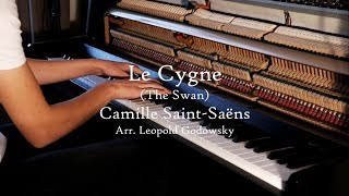 Saint Saëns  Le Cygne The Swan  Piano solo arr Godowsky [upl. by Wojcik462]