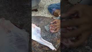 Amazing Cutting Skillls  Big Goat Leg Cleaning amp Cutting By Expert Goat Meat Cutter shorts [upl. by Zetroc703]