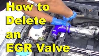 How to Install a EGR Valve Delete Kit [upl. by Durand]