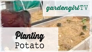 Planting Potato [upl. by Dukey]