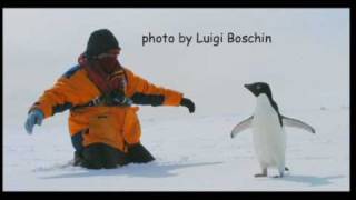 Dances with Penguins  part 2  with AstronomicalToursnet [upl. by Melton260]