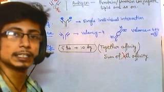 Antigen antibody reaction overview [upl. by Brie]