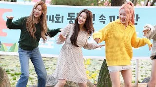 191019 모모랜드MOMOLAND 낸시Nancy Banana Cha Cha 바나나차차 서울대공원버스킹 4K 직캠 by 비몽 [upl. by Doralynne931]