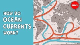 How do ocean currents work  Jennifer Verduin [upl. by Kenley669]