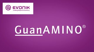 GuanAMINO® for Swine  Evonik [upl. by Eiffub]