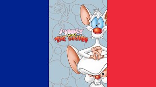 Pinky amp The Brain Theme Song V1 FrançaisFrench NTSC [upl. by Nile796]