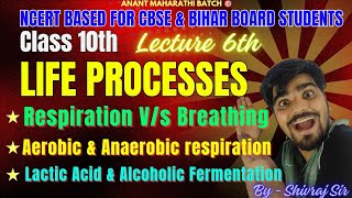 Respiration vs Breathing  Aerobic amp Anaerobic Respiration  Lactic Acid amp Alcoholic Fermentation [upl. by Auria]