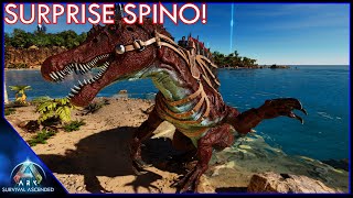 Brontos Raided My Base Spino Taming Great Luck Day  Ark Survival Ascended EP39 [upl. by Sirama]