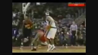 Greatest NBA Basketball Crossovers  Dwayne Wade Steve Francis [upl. by Haggai]