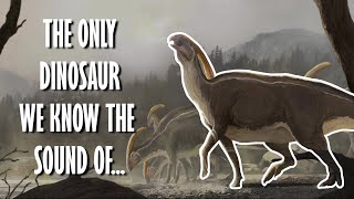 Parasaurolophus  The dinosaur that sounded eerily beautiful [upl. by Neehar]