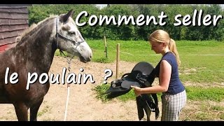 Comment seller le poulain   Débourrage de Clémence partie 6 [upl. by Munmro]