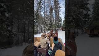 Sleigh Ride Adventure Fun at The Bar W Guest Ranch [upl. by Metsky]