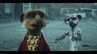 Compare the Market  Meerkat Movies  Coronation Street 2015 UK [upl. by Reimer]