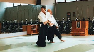 Aikido Katate dori gyaku hanmi by Daniele MONTENEGRO sensei  Bologna 2024 Part 12 [upl. by Ettennaj]