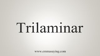 How To Say Trilaminar [upl. by Doty]