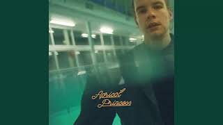 apricot princess  rex orange county FULL ALBUM [upl. by Gilbert685]