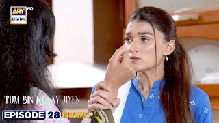 New Tum Bin Kesay Jiyen Episode 28  Promo  ARY Digital [upl. by Ydnik]