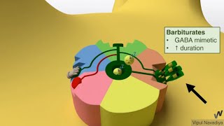 Drugs Acting on GABAA Receptor Mechanisms [upl. by Briana600]