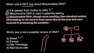 mtDNA and nucleus DNA as forensic evidence [upl. by Previdi]