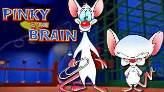 Pinky And The Brain Theme Cover [upl. by Amelus525]