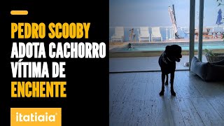 PEDRO SCOOBY MOSTRA quotELDORADOquot CÃOZINHO QUE ADOTOU EM MEIO AOS RESGATES NO RS [upl. by Bendix]