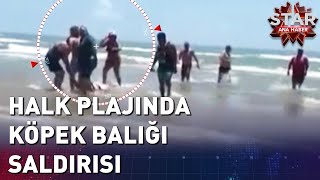 Halk Plajında Köpek Balığı Saldırısı  Star Ana Haber [upl. by Grani285]