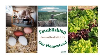 Trip to Farm StoreUpdate on the planningGetting ready for the homesteadhomestead frugalliving [upl. by Hengel]