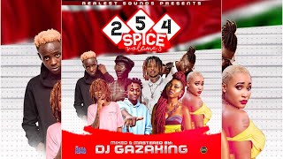 254 SPICE MIXTAPE VOL 3 FULL KENYAN VIBES BY DJ GAZAKING MRSHALLWE [upl. by Karyn]