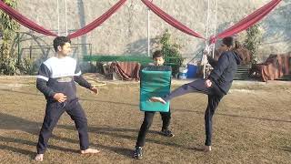 Kick  PAIR Doliyon kick1 trending shots step by Step self defence taekwondo [upl. by Acina647]