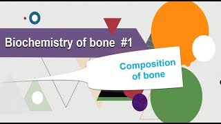 Biochemistry of bone Composition of bone Biochemistry [upl. by Taub]