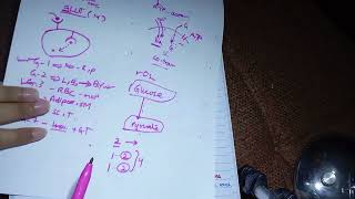 Glycolysis  Pathway Regulation Enzymes Clinicals  EASIEST EXPLANATION EVER  Biochem  part 2 [upl. by Bourn]