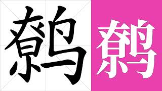 鹩的笔画顺序教学，鹩的意思，鹩的字义解释，鹩的字典查询，鹩的汉字编码。 Meaning of 鹩 definition of 鹩 stroke order of 鹩  汉字 汉字笔画 鹩 [upl. by Bensky]