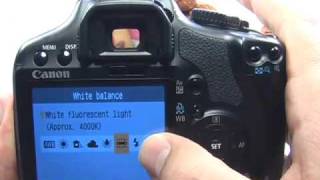 Canon XSi450D White Balance [upl. by Aeret]