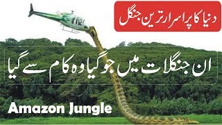 Amazon Forest Documentary in UrduHindi  Amazon Jungle Facts in Urdu [upl. by Rick]