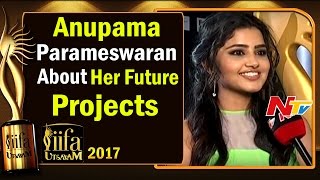 Anupama Parameswaran About Her Future Projects  IIFA Utsavam  IIFAUtsavam2017  NTV [upl. by Ardnasil479]